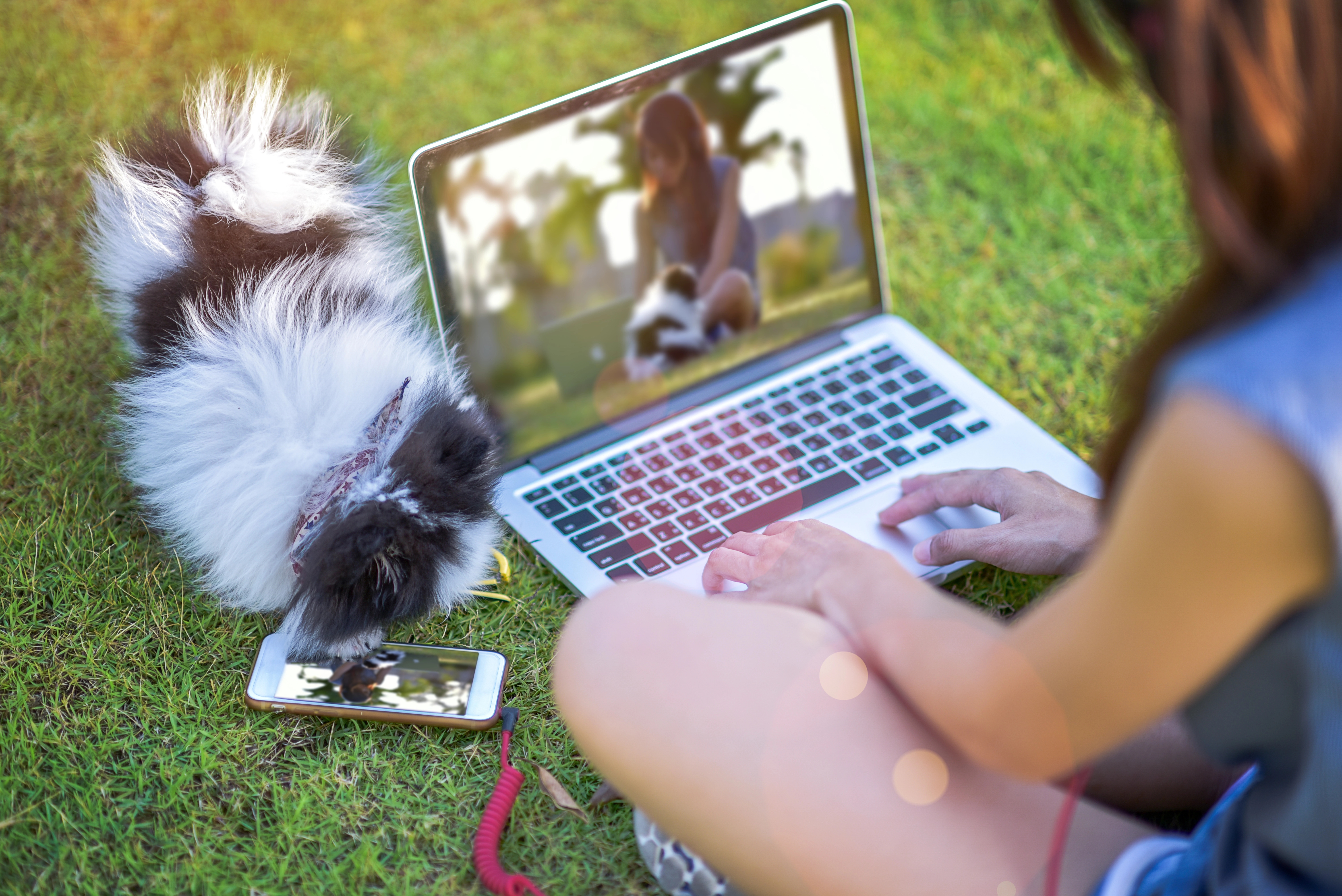 Woman and dog on computer doing pet PR